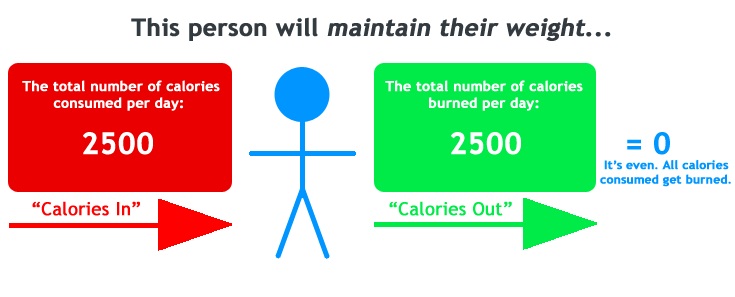 calorie intake to lose weight - maintenance level